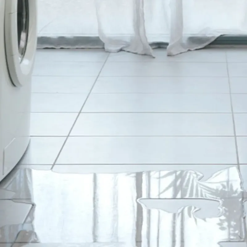 Appliance Leak Cleanup in Kincaid, IL