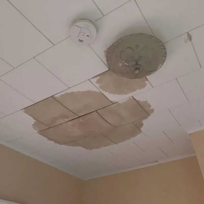 Ceiling Water Damage Repair in Kincaid, IL