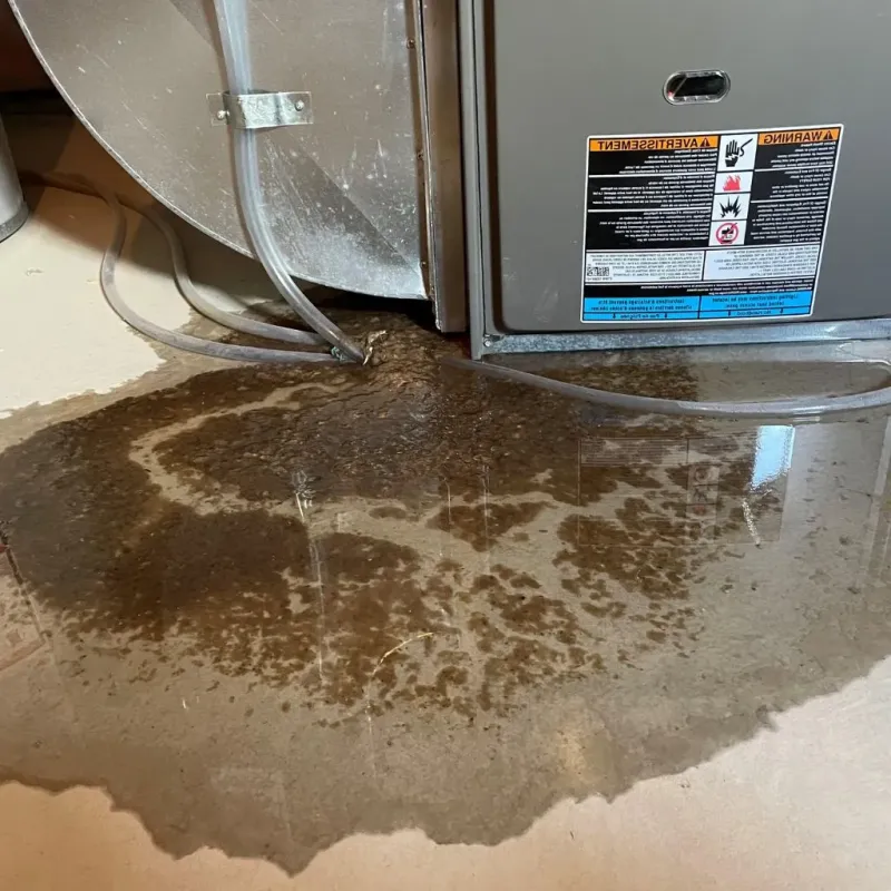 Pipe Burst and Leak Restoration in Kincaid, IL