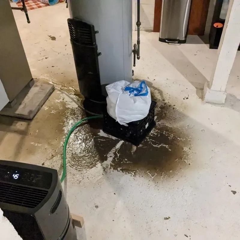 Sewage Backup Cleanup Service in Kincaid, IL
